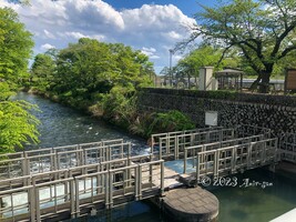 羽村取水堰の画像1