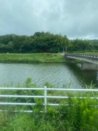 釣川の画像1