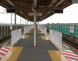 伊奈中央駅(埼玉新都市交通)の画像1