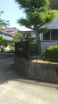 一宮市立大和南小学校の画像1