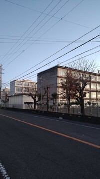 静岡市立安東小学校の画像1