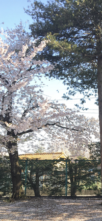 長野県豊科高等学校の画像1