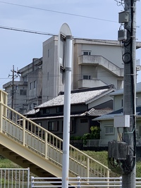 安城市立安城東部小学校の画像1