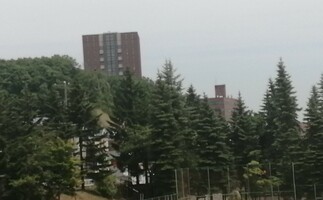 札幌国際大学短期大学部の画像1