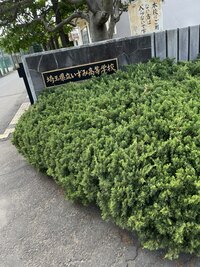 埼玉県立いずみ高等学校の画像1