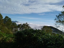 霊仙寺山の画像1