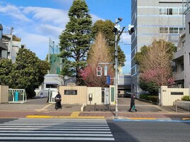 東京都立竹早高等学校の画像1